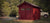 Plastic vs. Wood Sheds: 3 Reasons Why Wood Sheds are Better